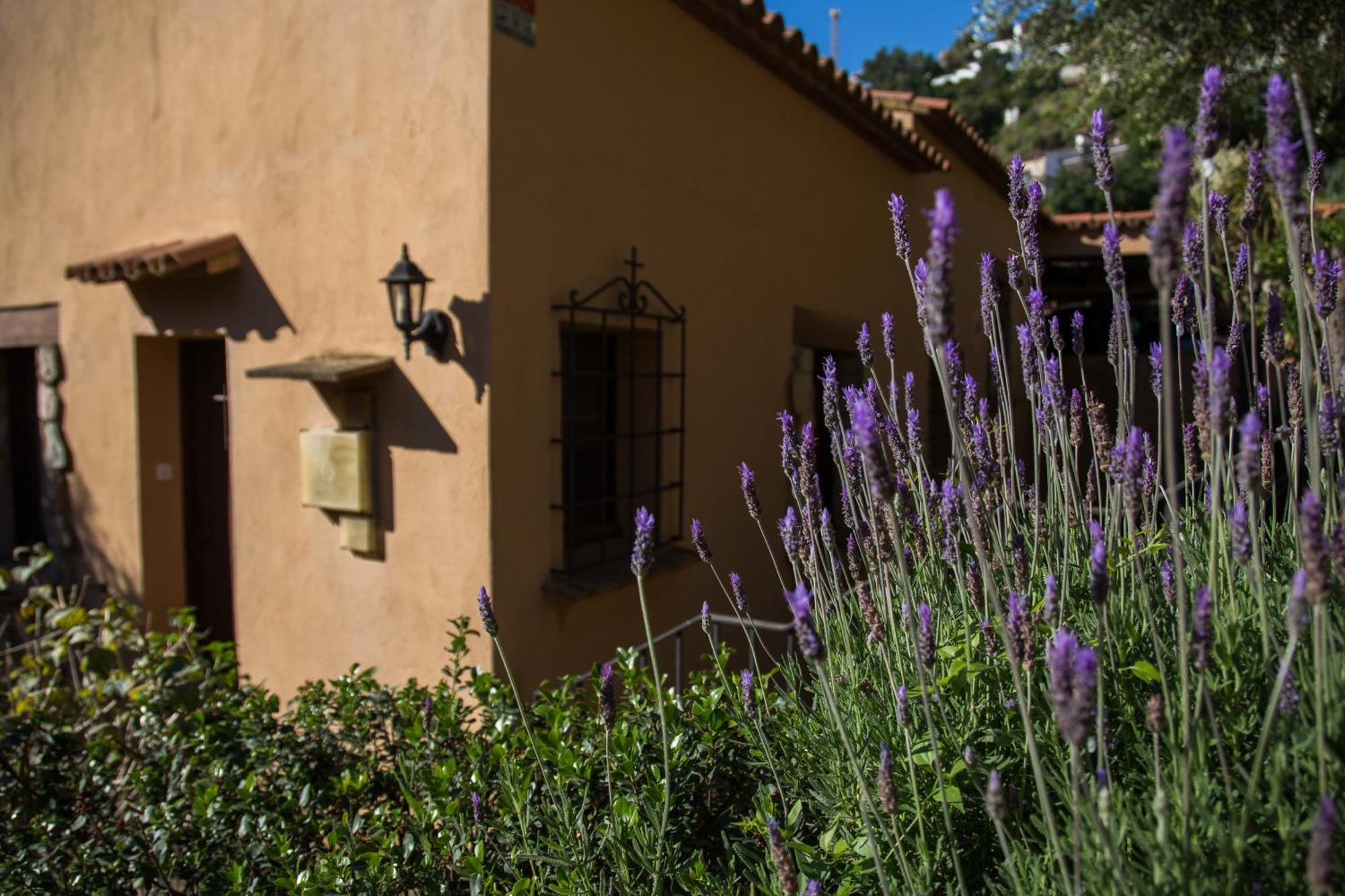 Corti Mori Sa Riera Vistas Mediterraneas Begur Dış mekan fotoğraf